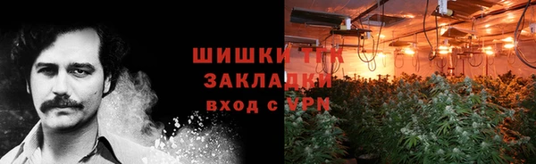 не бодяженный Каменногорск